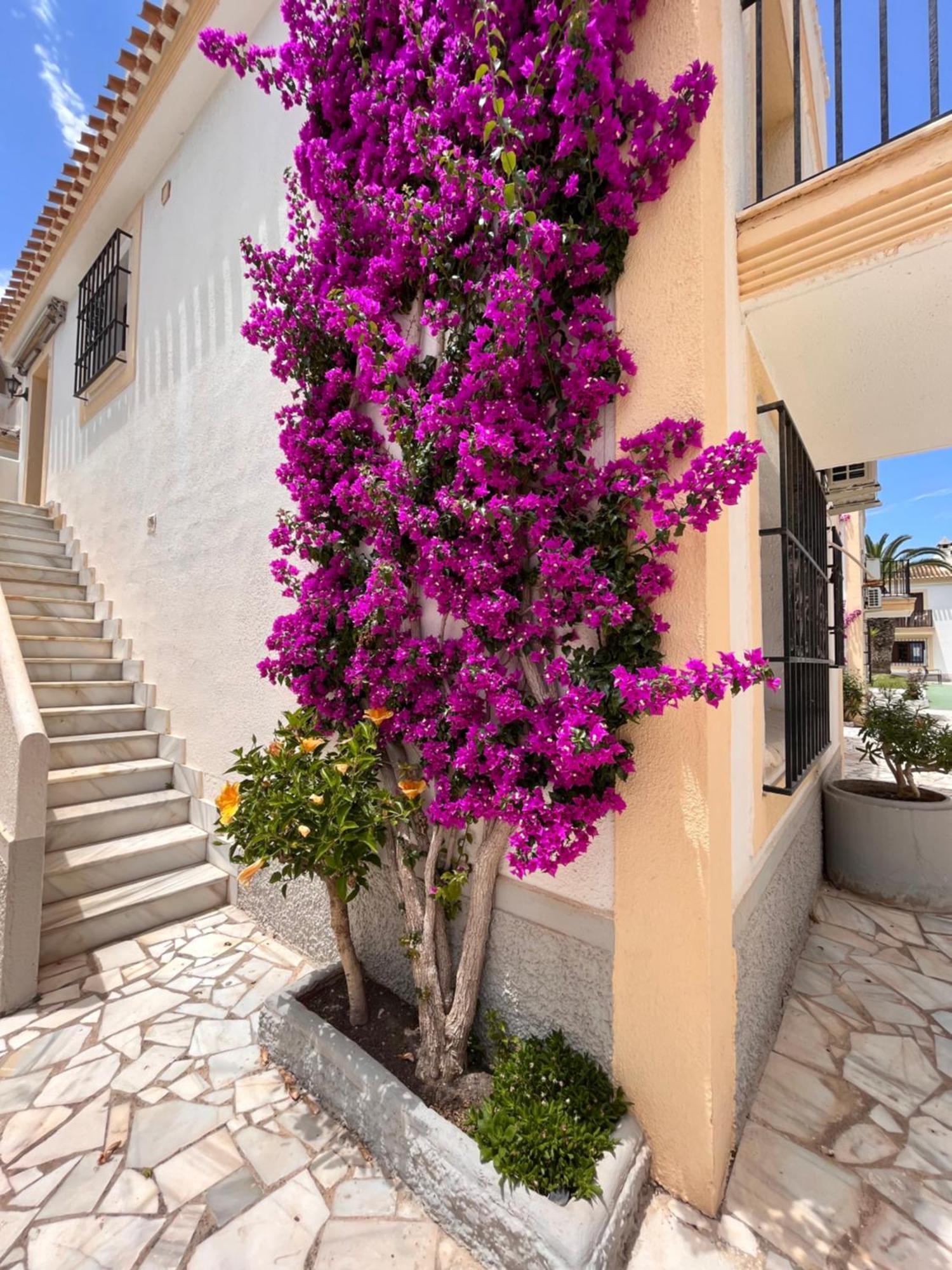 Apartamento Esquina Verde En Vera Coast Playas de Vera Екстер'єр фото